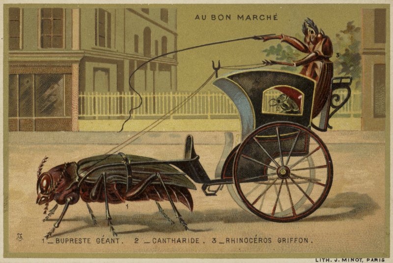 Carte Au Bon Marché con insetti antropomorfi da French School