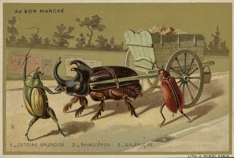Carte Au Bon Marché con insetti antropomorfi da French School