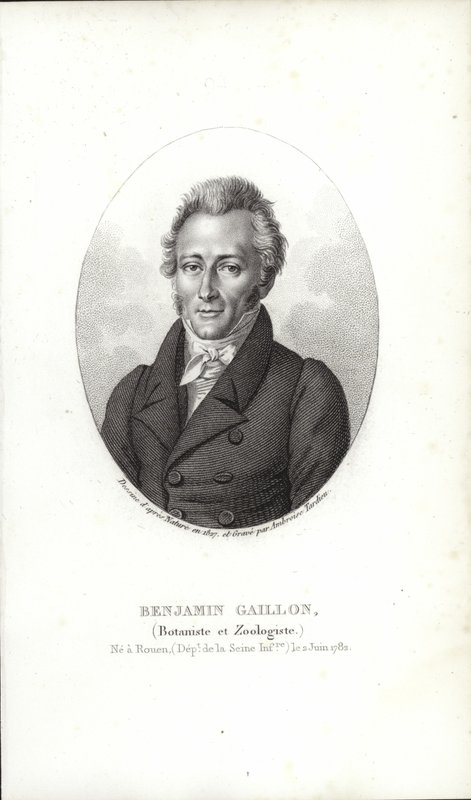 Benjamin Gaillon da French School