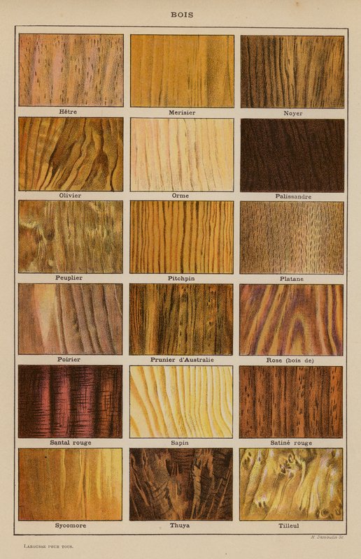Bois (litografia a colori) da French School