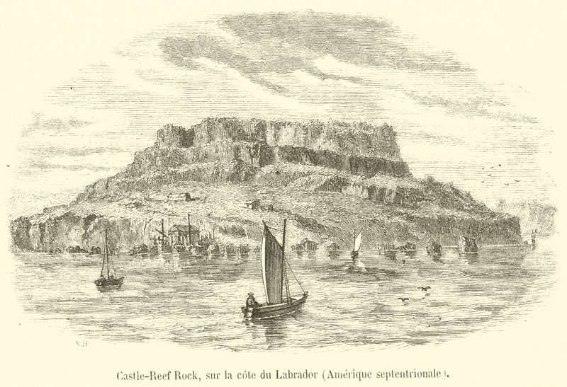 Castle-Reef Rock, sulla costa del Labrador, America settentrionale (incisione) da French School