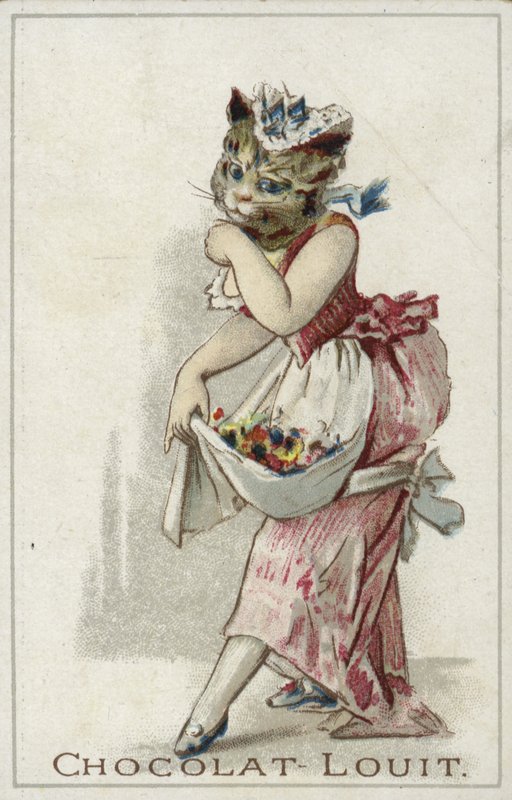 Gatto con vestito da French School
