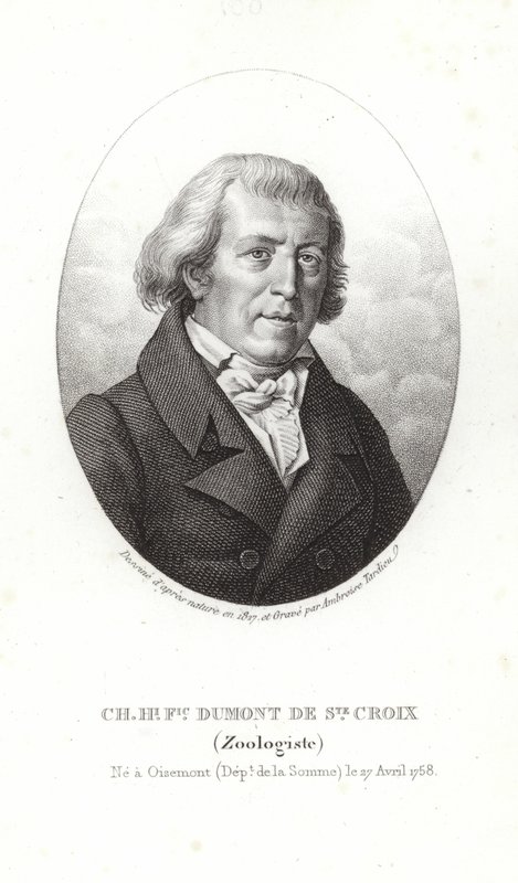 Charles Dumont de Sainte-Croix da French School