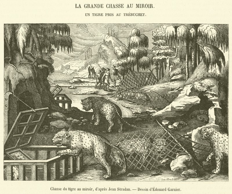 Caccia alla tigre con lo specchio da French School