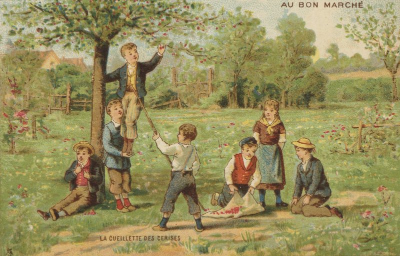 Bambini che raccolgono ciliegie da French School