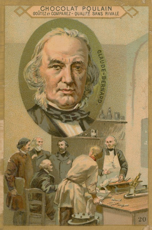 Claude Bernard, carta commerciale Chocolat Poulain da French School