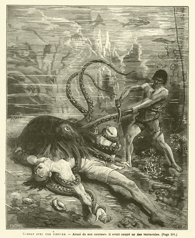 Combat Avec Une Pieuvre da French School