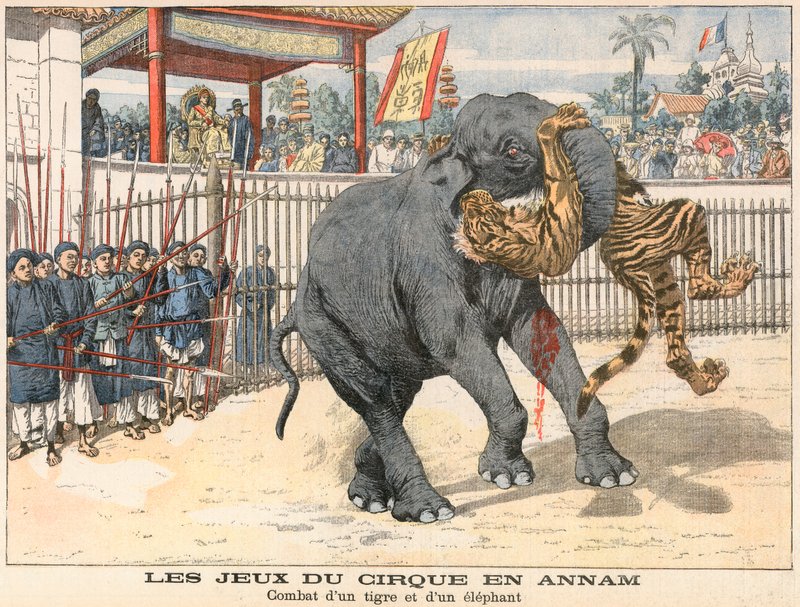 Combattimento tra una tigre e un elefante da French School