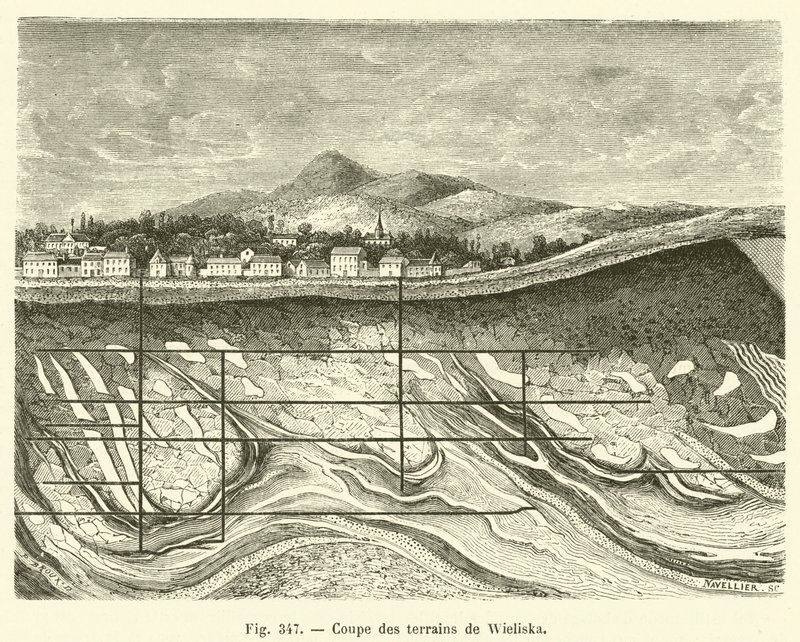 Sezione dei terreni di Wieliska da French School