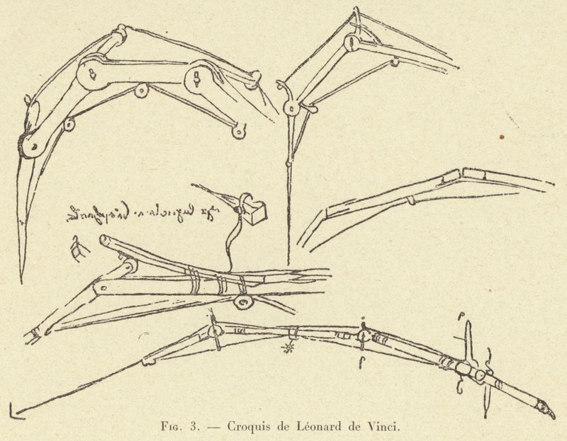 Schizzo di Leonardo da Vinci da French School