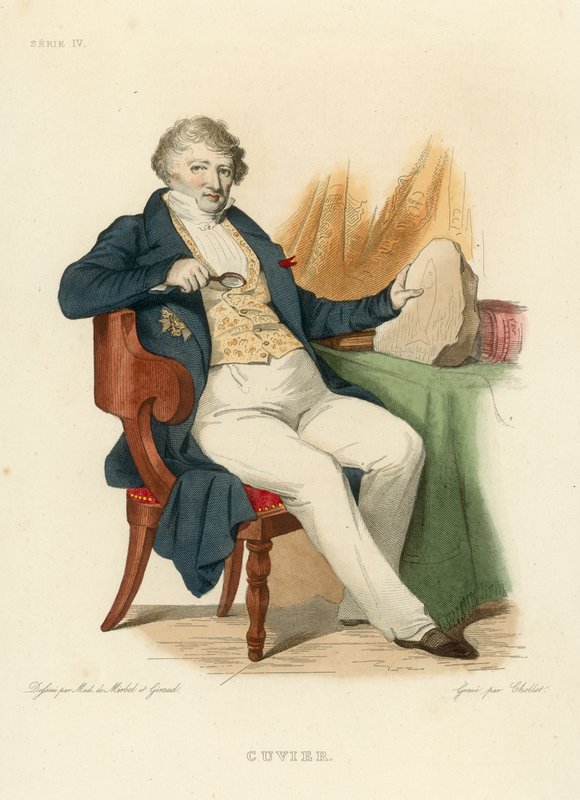 Cuvier (incisione colorata) da French School
