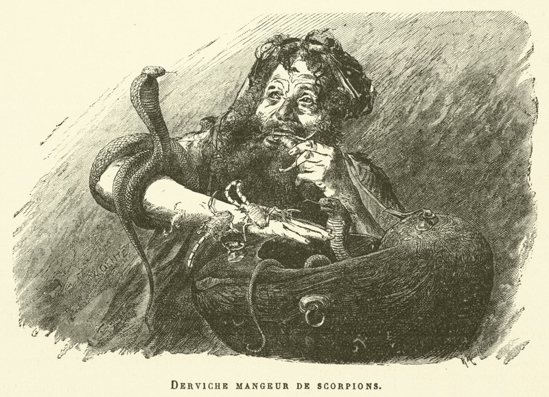 Derviscio Mangiatore di Scorpioni da French School