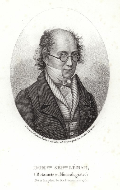 Dominique Sebastion Leman da French School