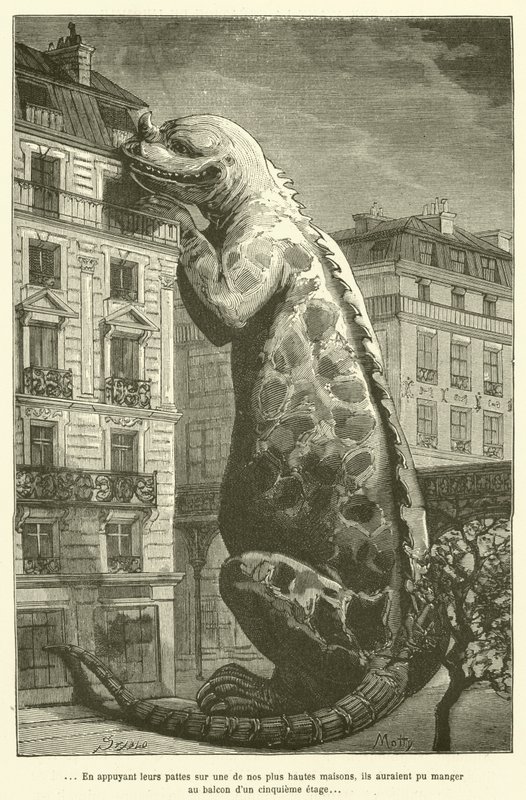 ... Appoggiando le loro zampe su una delle nostre case più alte, avrebbero potuto mangiare al balcone di un quinto piano da French School