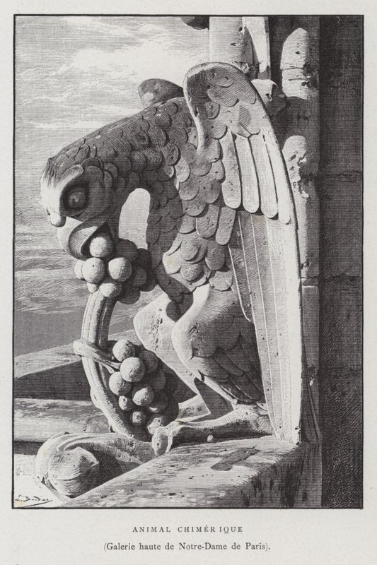 Figura di un animale chimerico, dalla galleria superiore di Notre Dame de Paris da French School