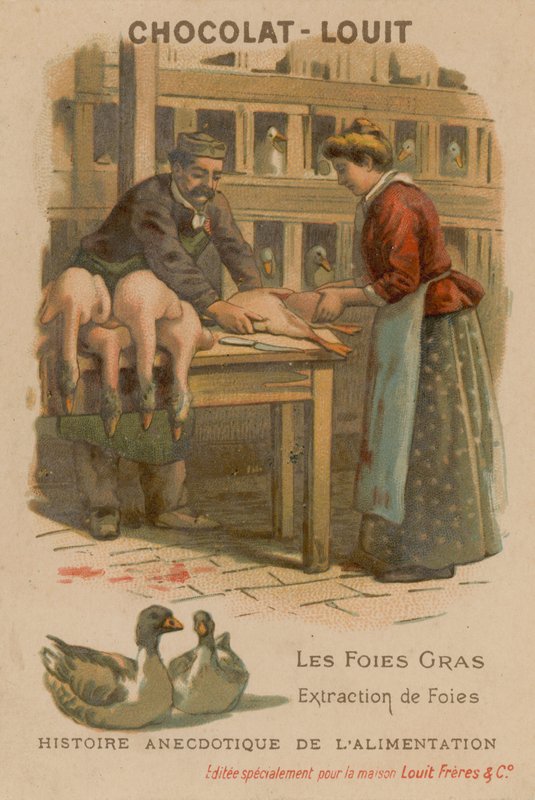 Foie Gras da French School