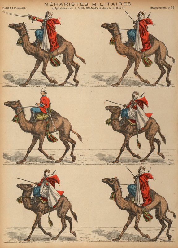 Meharisti dell