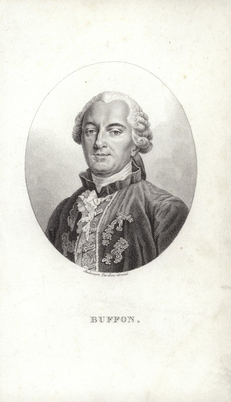 Georges-Louis Leclerc da French School