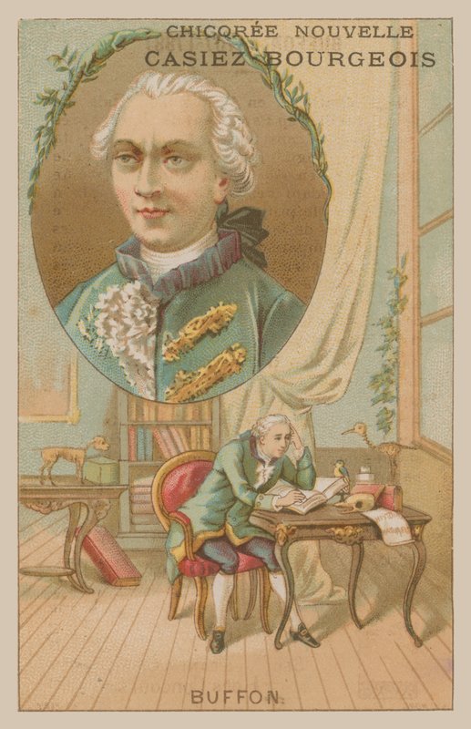 Georges-Louis Leclerc, Conte di Buffon, scienziato e scrittore francese del XVIII secolo da French School
