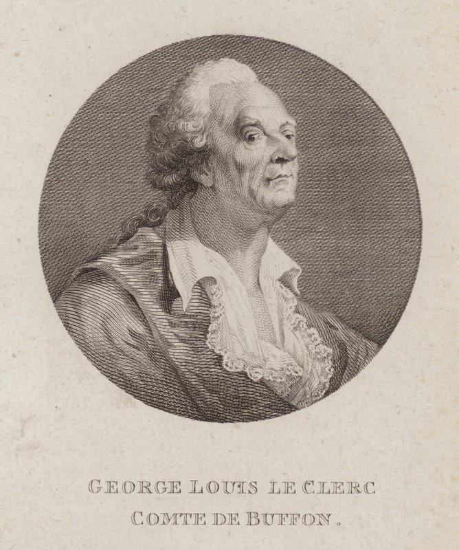 Georges-Louis Leclerc, Conte di Buffon, naturalista francese da French School
