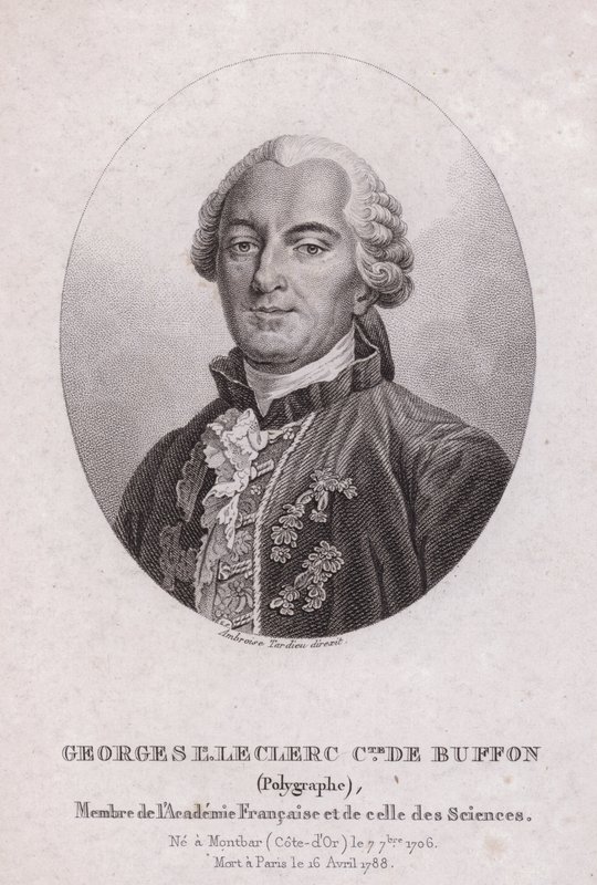 Georges-Louis Leclerc, Conte di Buffon, scienziato e scrittore francese (incisione) da French School