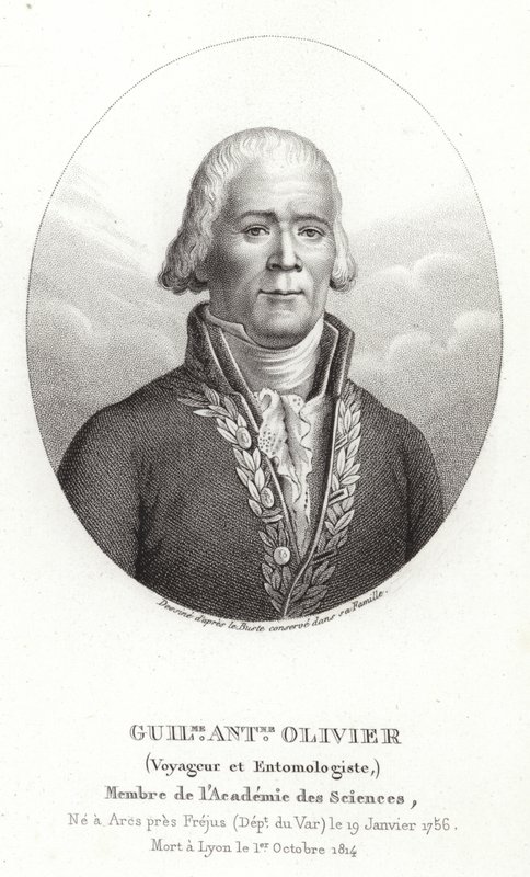 Guillaume Antoine Olivier da French School