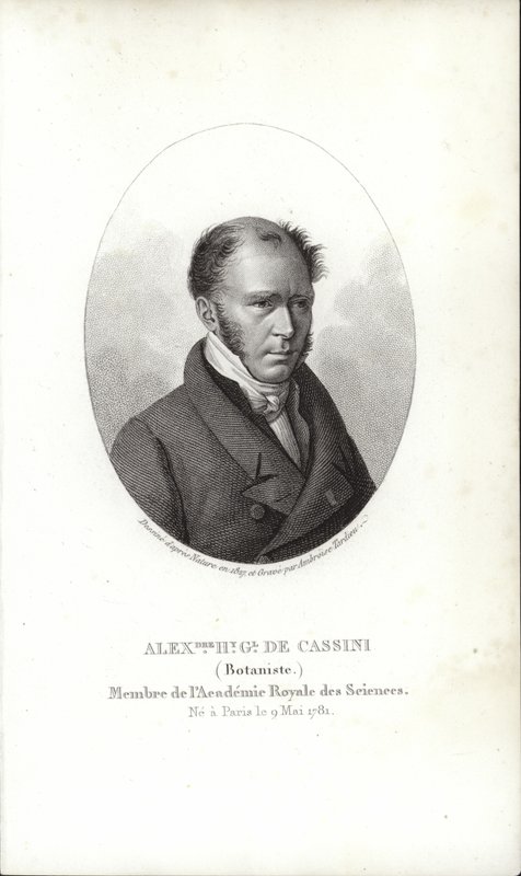 Henri Cassini da French School
