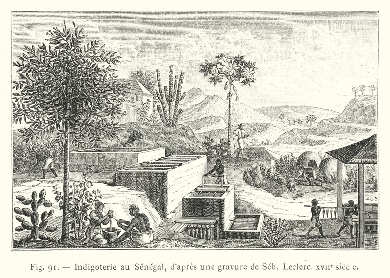 Indigoteria in Senegal, da un