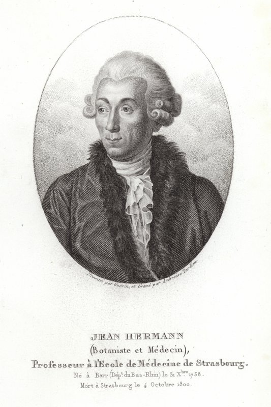 Jean Hermann da French School