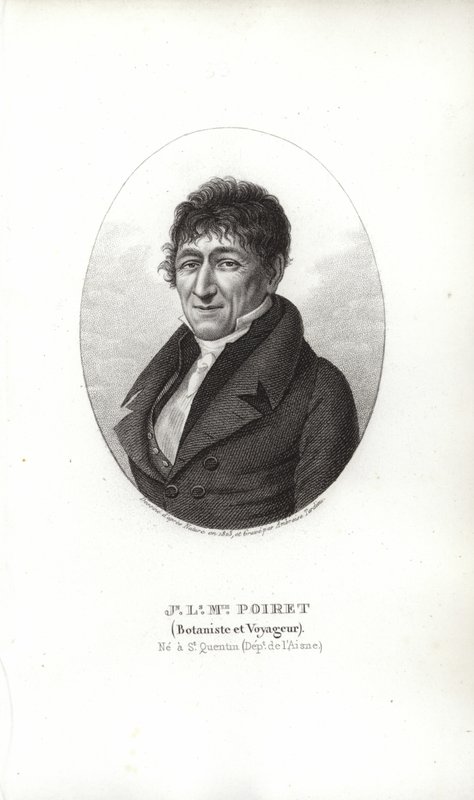 Jean Louis Marie Poiret da French School