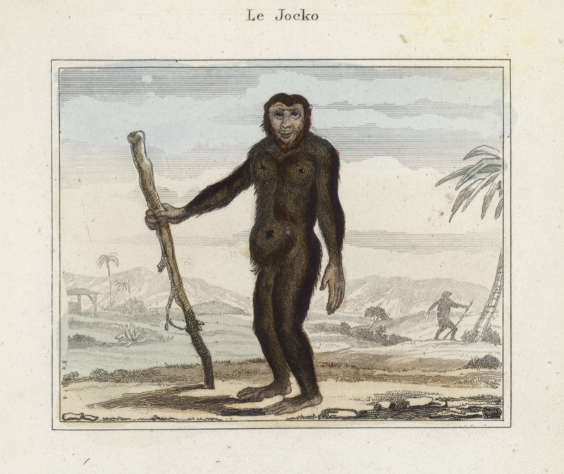 Jocko da French School