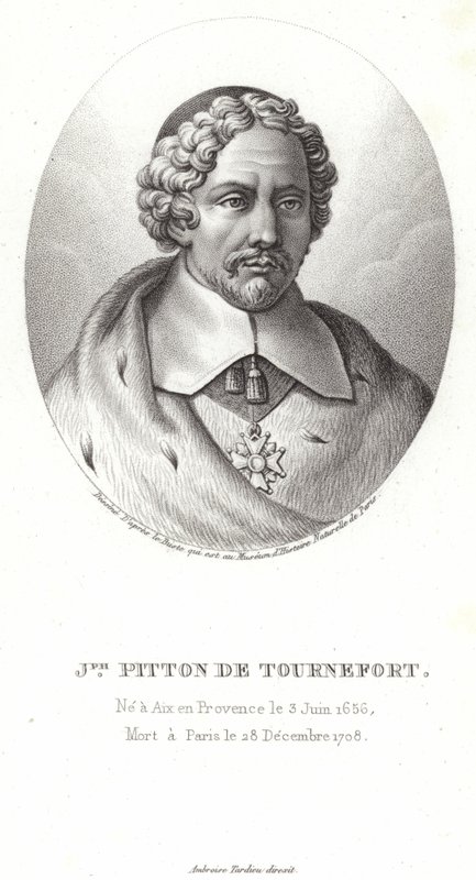 Joseph Pitton de Tournefort da French School