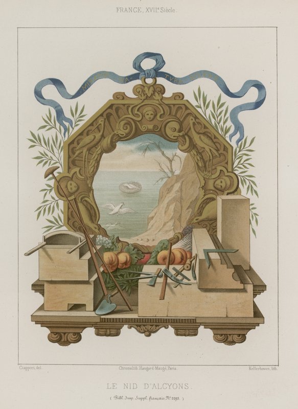 Nido di martin pescatore da French School