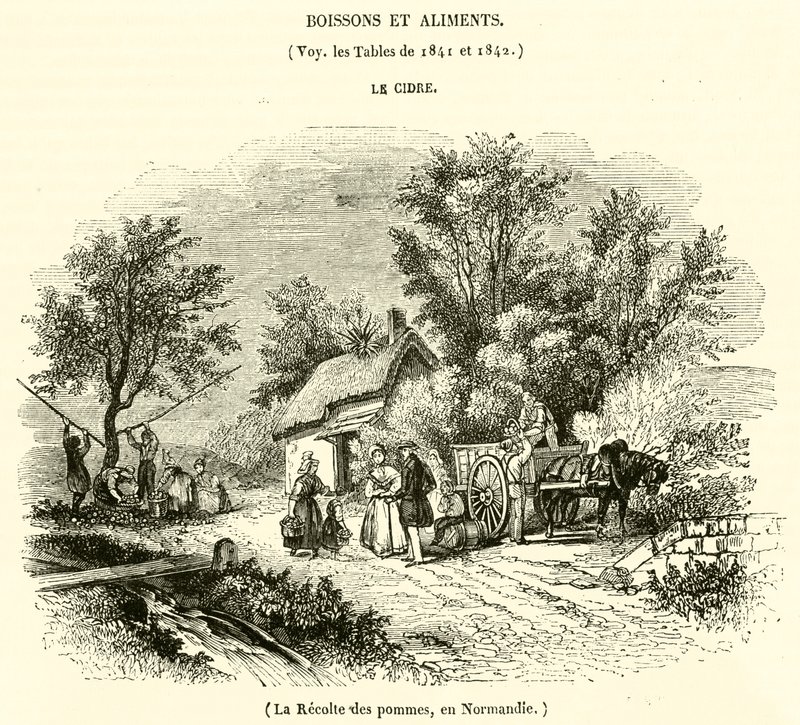 La raccolta delle mele, in Normandia da French School