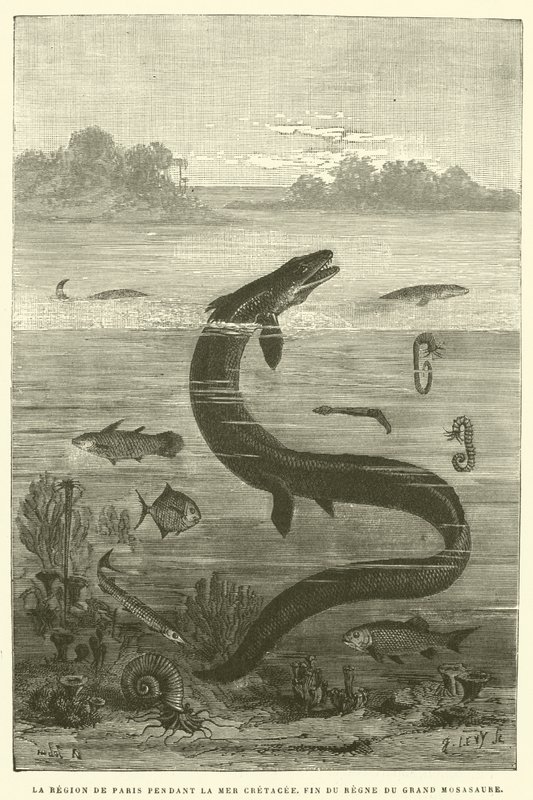La Regione di Parigi durante il Mare Cretaceo, Fine del Regno del Grande Mosasauro da French School