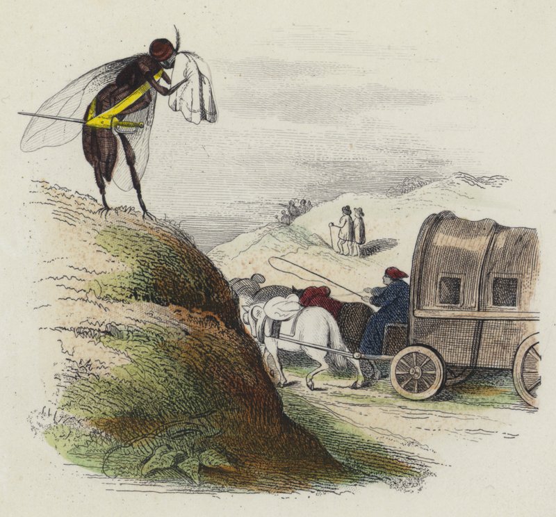 Le Coche Et La Mouche da French School