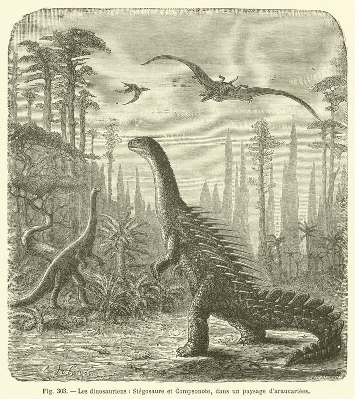 I Dinosauri, Stegosauro e Compsonote, in un Paesaggio di Araucarie da French School