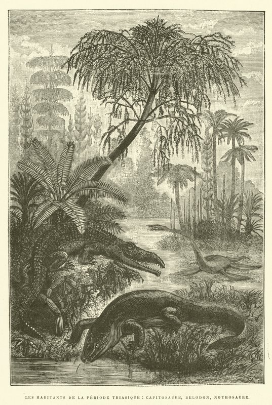 Gli abitanti del periodo triassico, capitosaure, belodon, nothosaure da French School