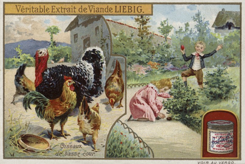 Carta Liebig con pollame da French School