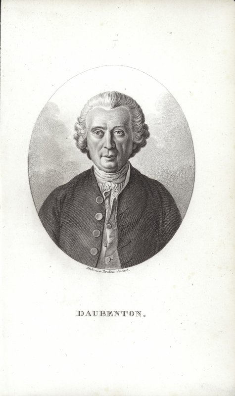 Louis-Jean-Marie Daubenton da French School