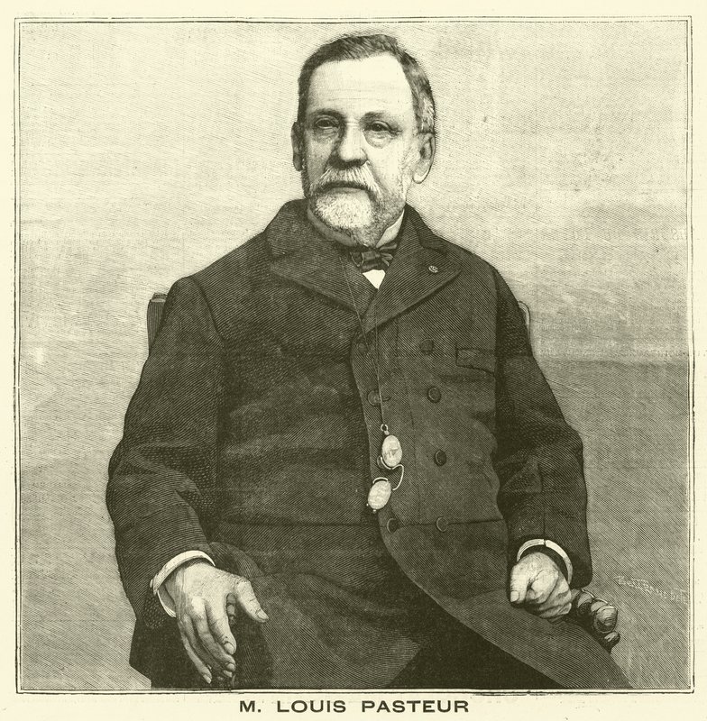 Louis Pasteur, microbiologo francese da French School
