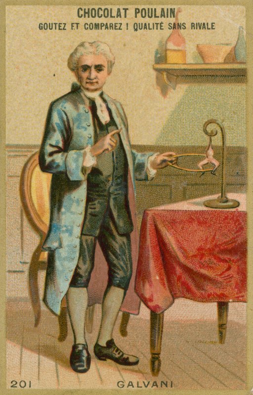 Luigi Galvani da French School