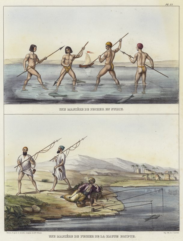 Metodi di pesca in Nubia e in Egitto da French School