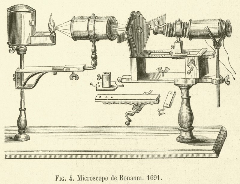 Microscopio di Bonanni da French School
