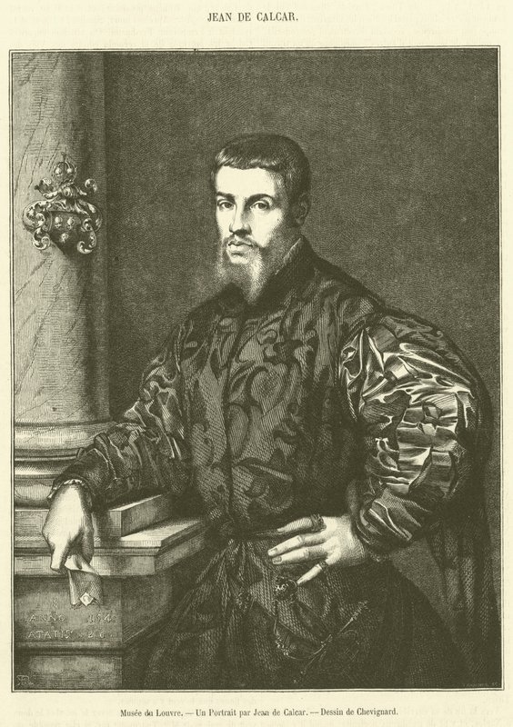 Museo del Louvre, Un ritratto di Jean de Calcar (incisione) da French School