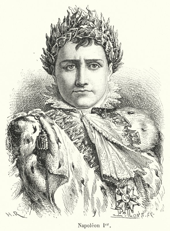 Napoleone I da French School