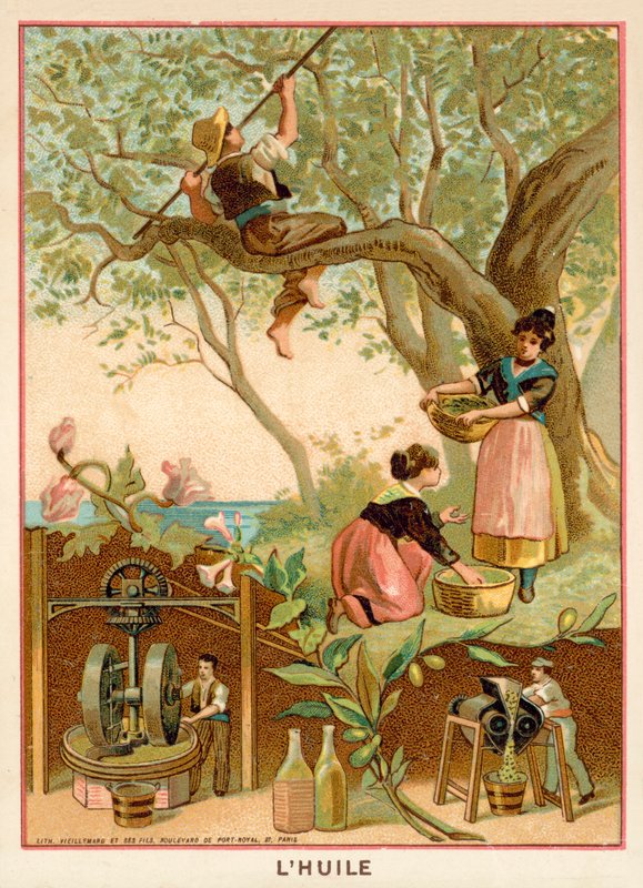 Olio d