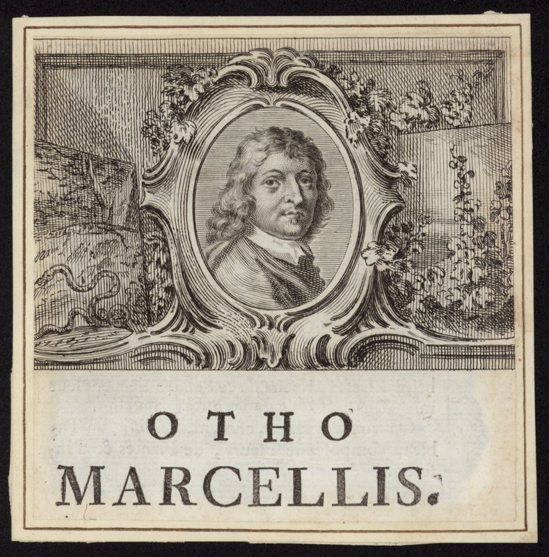 Otto Marseus van Schrieck da French School