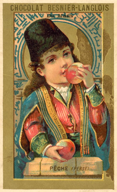 Pesche dalla Persia da French School