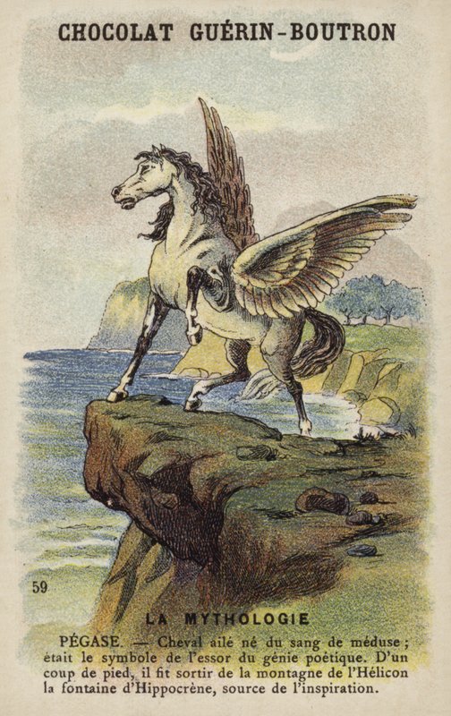 Pegaso da French School